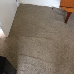 Buckled Carpet