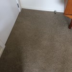 Restretched Buckled Carpet