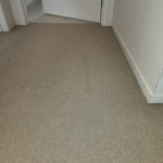 Carpet Repair Pulled Pile After