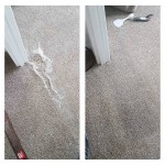 Carpet Repair Pet Damage