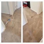 Carpet Repair Dog Damage Before After