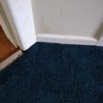 Carpet Repair After