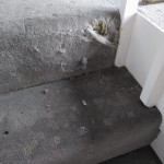 Carpet Repair on Stair Before