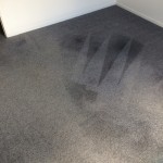 Yellow Carpet Stains Removal