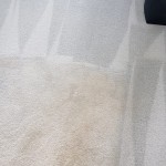 Carpet Cleaning Result