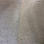 Carpet Cleaning in Progress