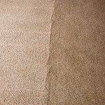 Carpet Cleaning Transformation