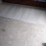 Carpet cleaning before after