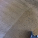 Carpet Cleaning Improvement