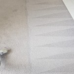 Carpet Cleaning Empty House